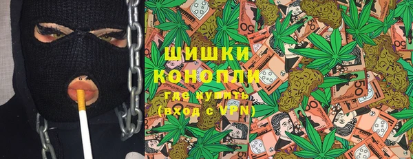 СК Бронницы