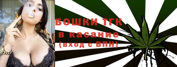 СК Бронницы