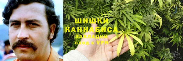 винт Бородино