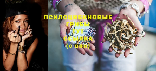 СК Бронницы