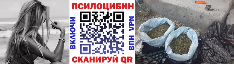 Псилоцибиновые грибы мицелий  hydra tor  shop формула  Реутов 